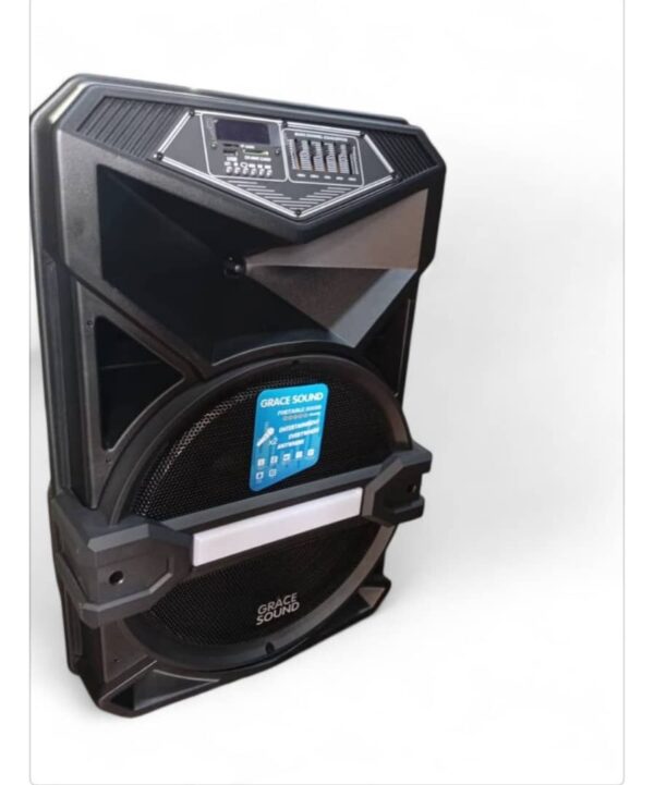 SINGLE SPEAKER, PUBLIC ADDRESS SYSTEM. WITH 2 MIC