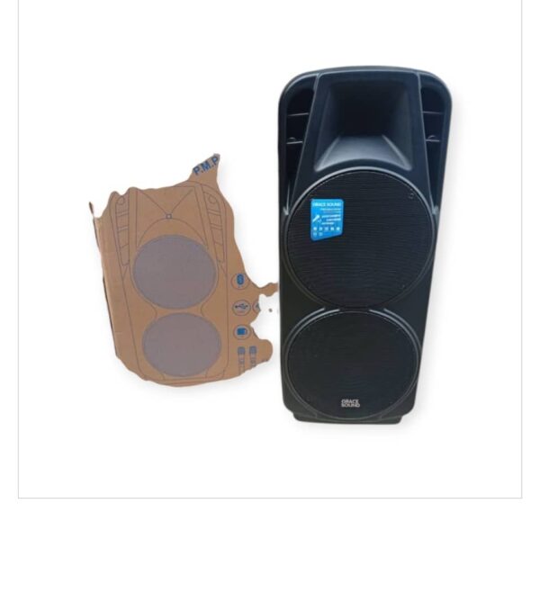 Public Address System With 2 Mic