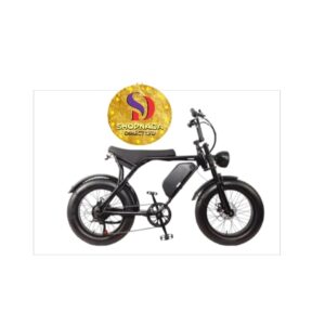 ELECTRIC MOTORCYCLE