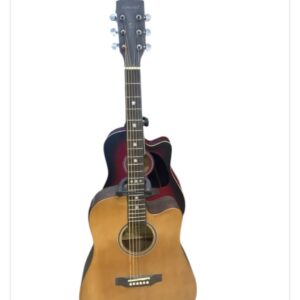 41 semi acoustic guitar