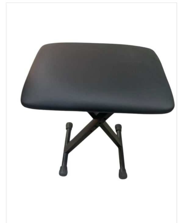 KEYBOARD   PLAYERS, SEAT